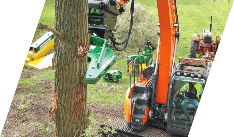 TreeLopper-slider4.png