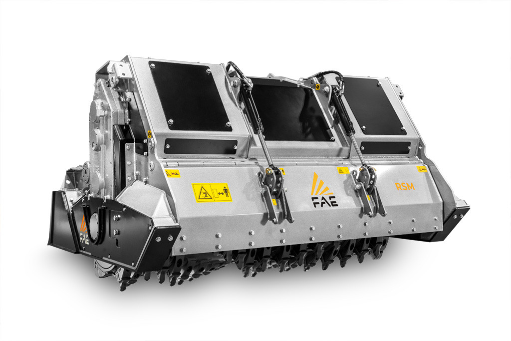 RSM1